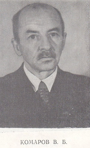 Комаров Владимир Борисович